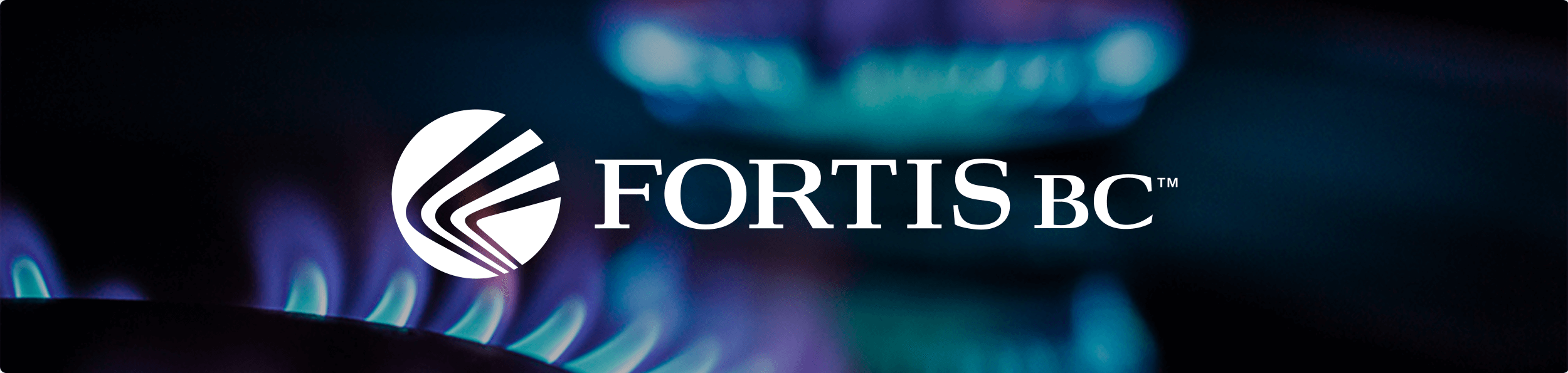 Fortis Banner 1